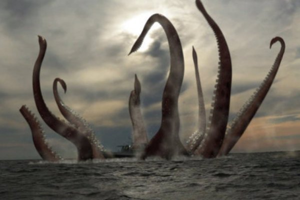 Kraken зеркало тор