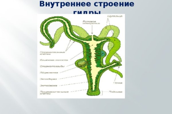 Гидра в даркнете