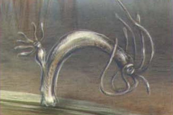 Кракен марке